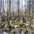 בית הקברות בהר הירוק בקובנה